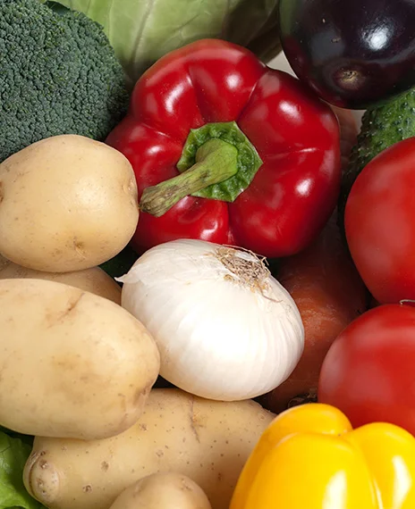 distribución materias primas cocinas profesionales Diloa
