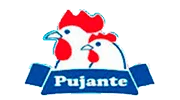 logo-pujante logo pujante